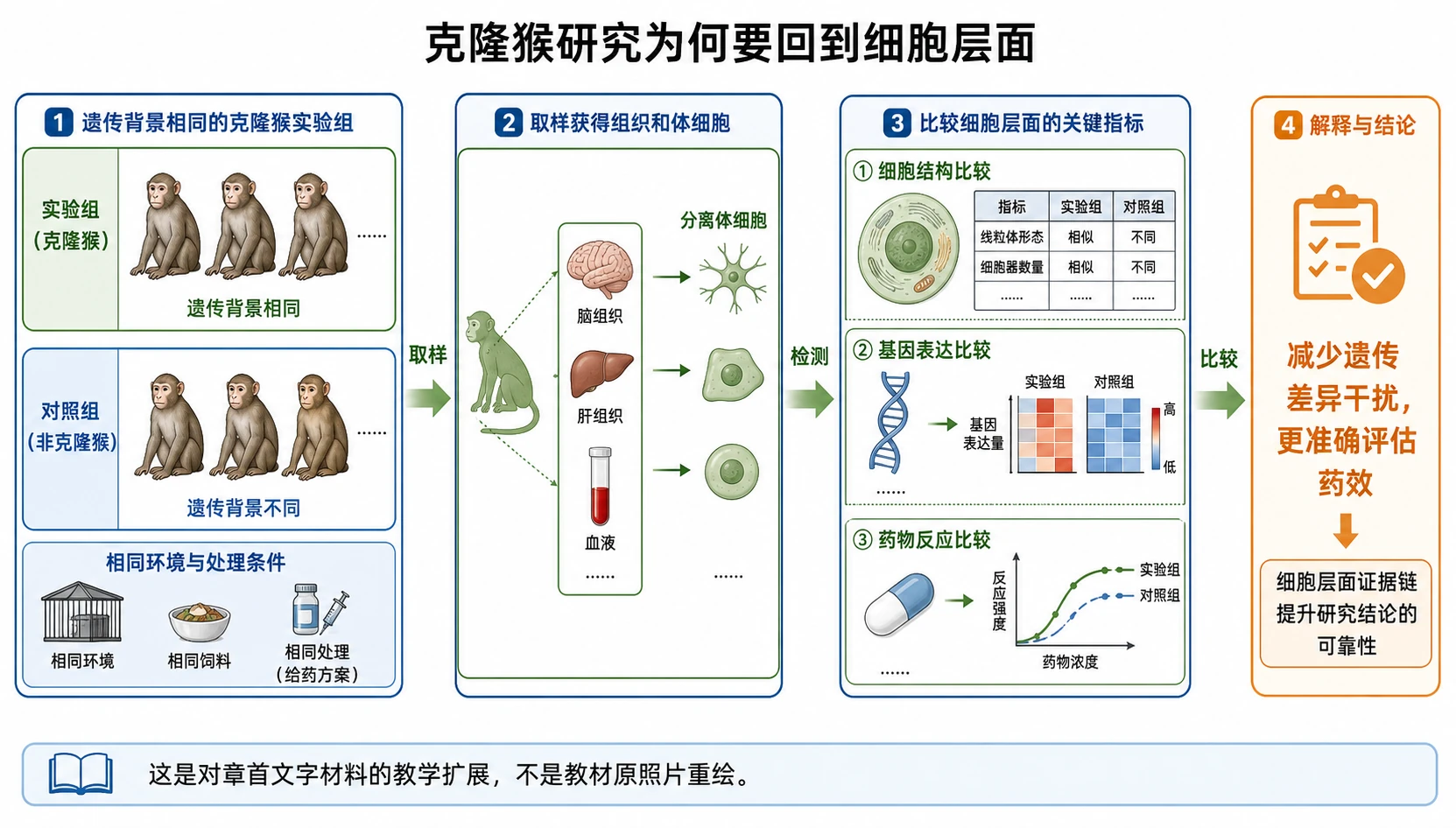图03：“克隆猴研究为何要回到细胞层面”