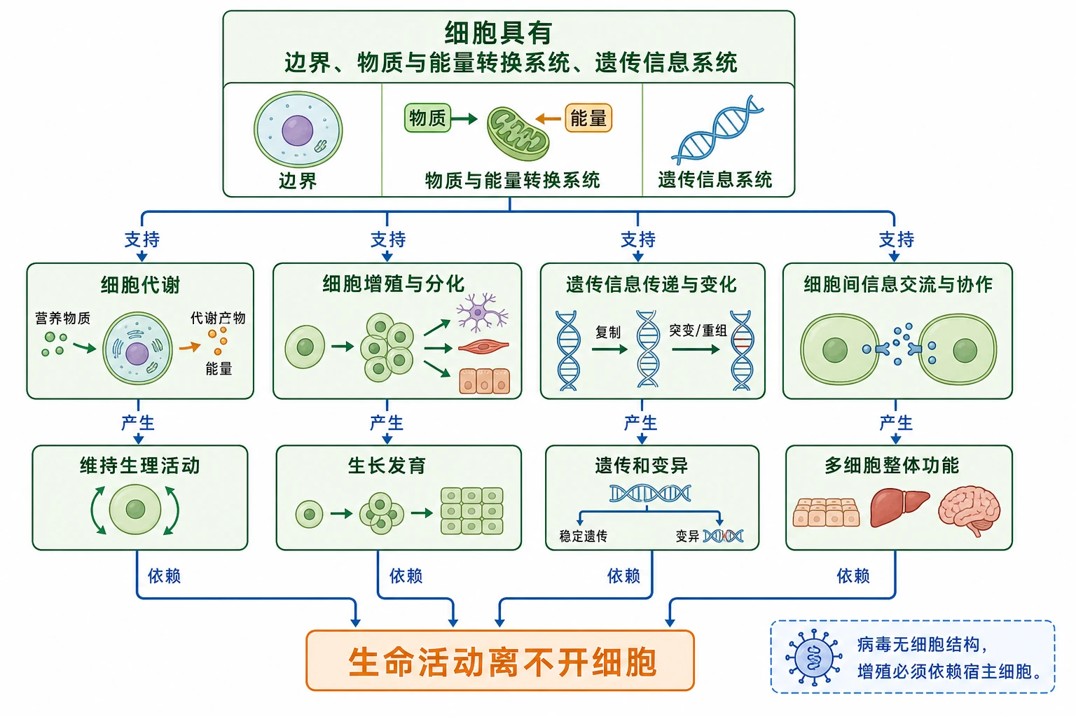 图06：补充知识图（非教材原图）——“细胞为什么是基本生命系统”