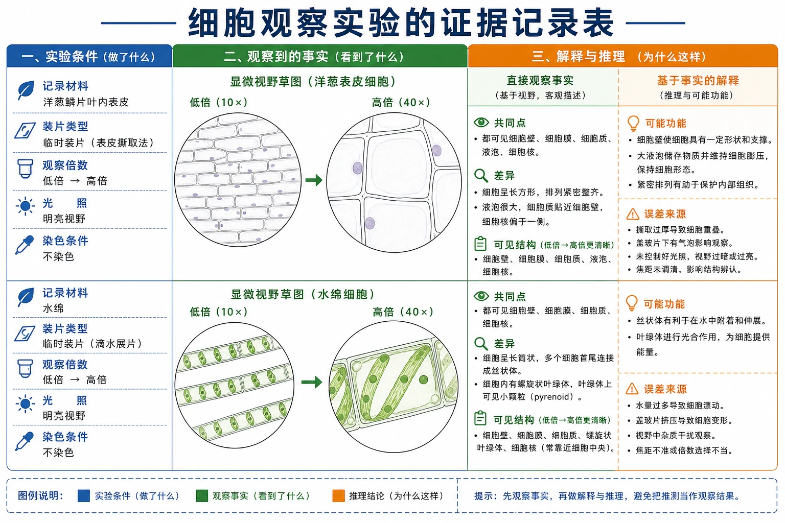 图09:补充知识图(非教材原图)——“细胞观察实验的证据记录表”