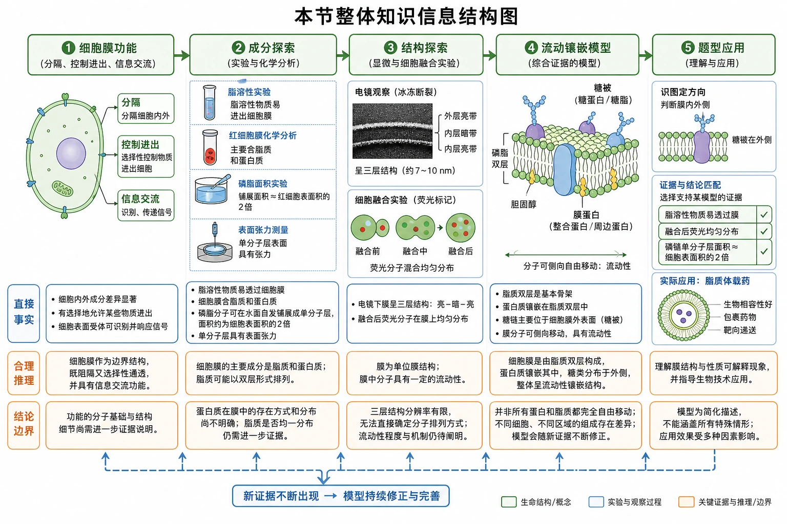 图01：补充知识图（非教材原图）——“本节整体知识信息结构图”
