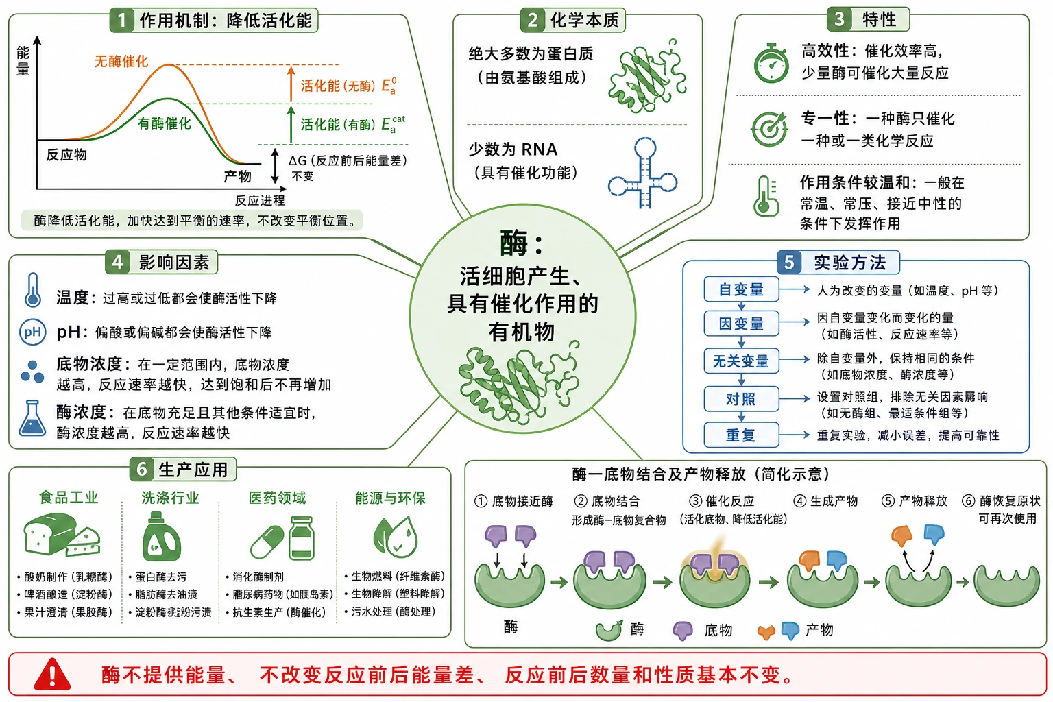 图01：补充知识图（非教材原图）——“酶知识全景图”