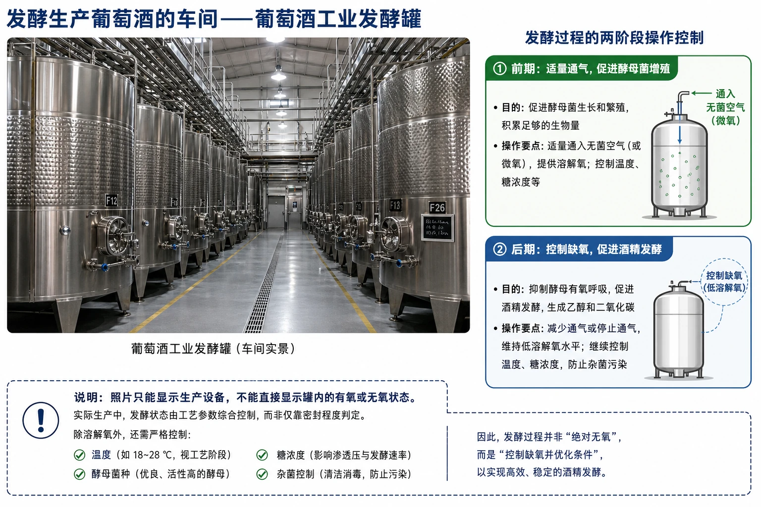 图02：教材“发酵生产葡萄酒的车间”源图重绘——“葡萄酒工业发酵