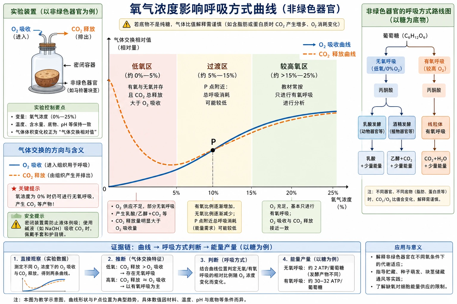 图05：教材练习“非绿色器官在不同氧浓度下的气体交换”源图重绘—