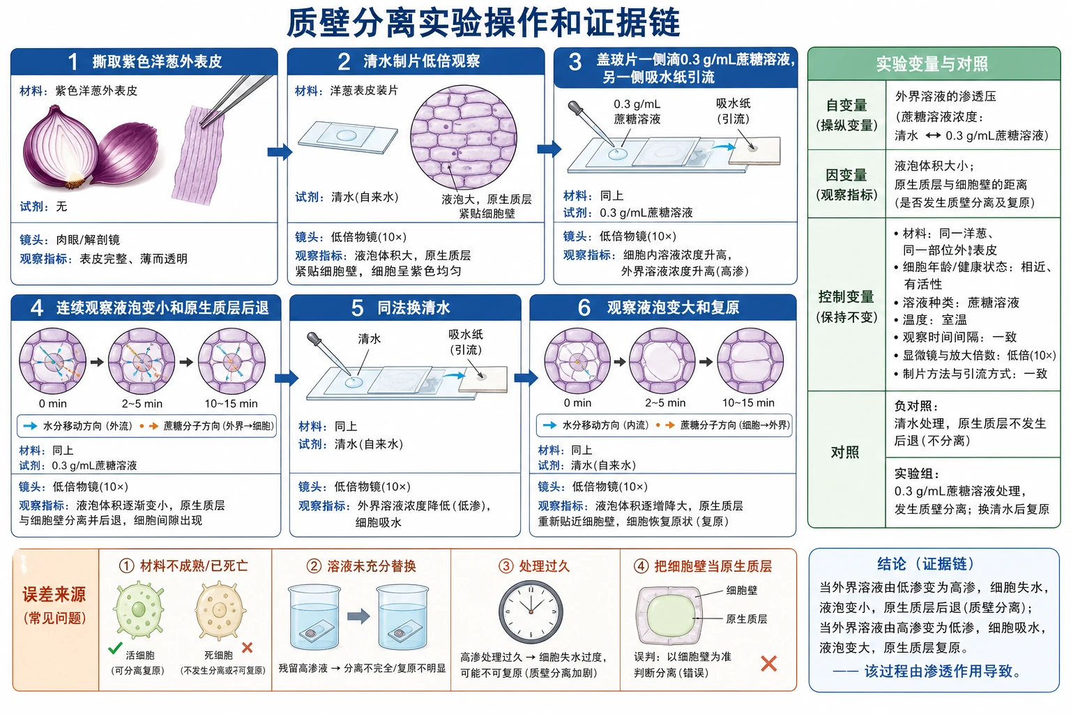 图09:补充知识图(非教材原图)——“质壁分离实验操作和证据链”